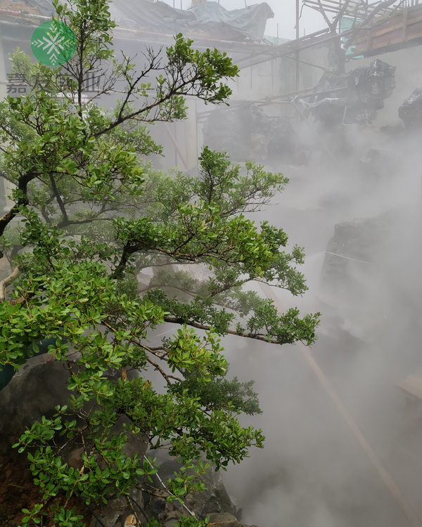 杭州极悦“极悦注册”雾森系统应用假山造雾项目案例