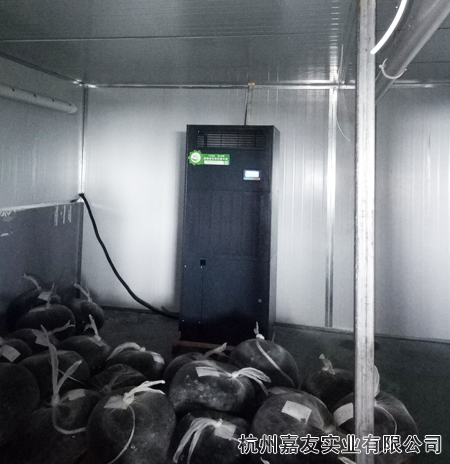 杭州极悦恒湿机